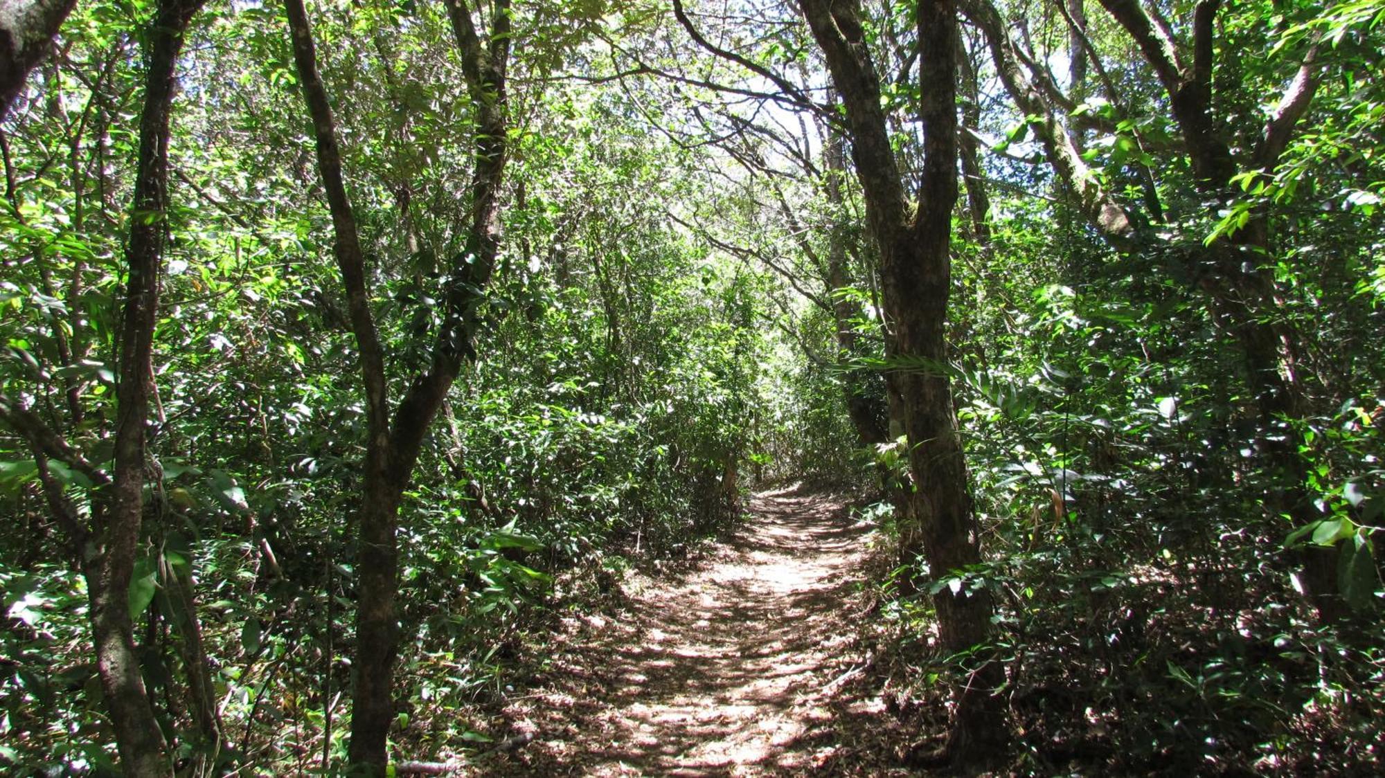 Santuario Ecologico Monteverde Exterior foto