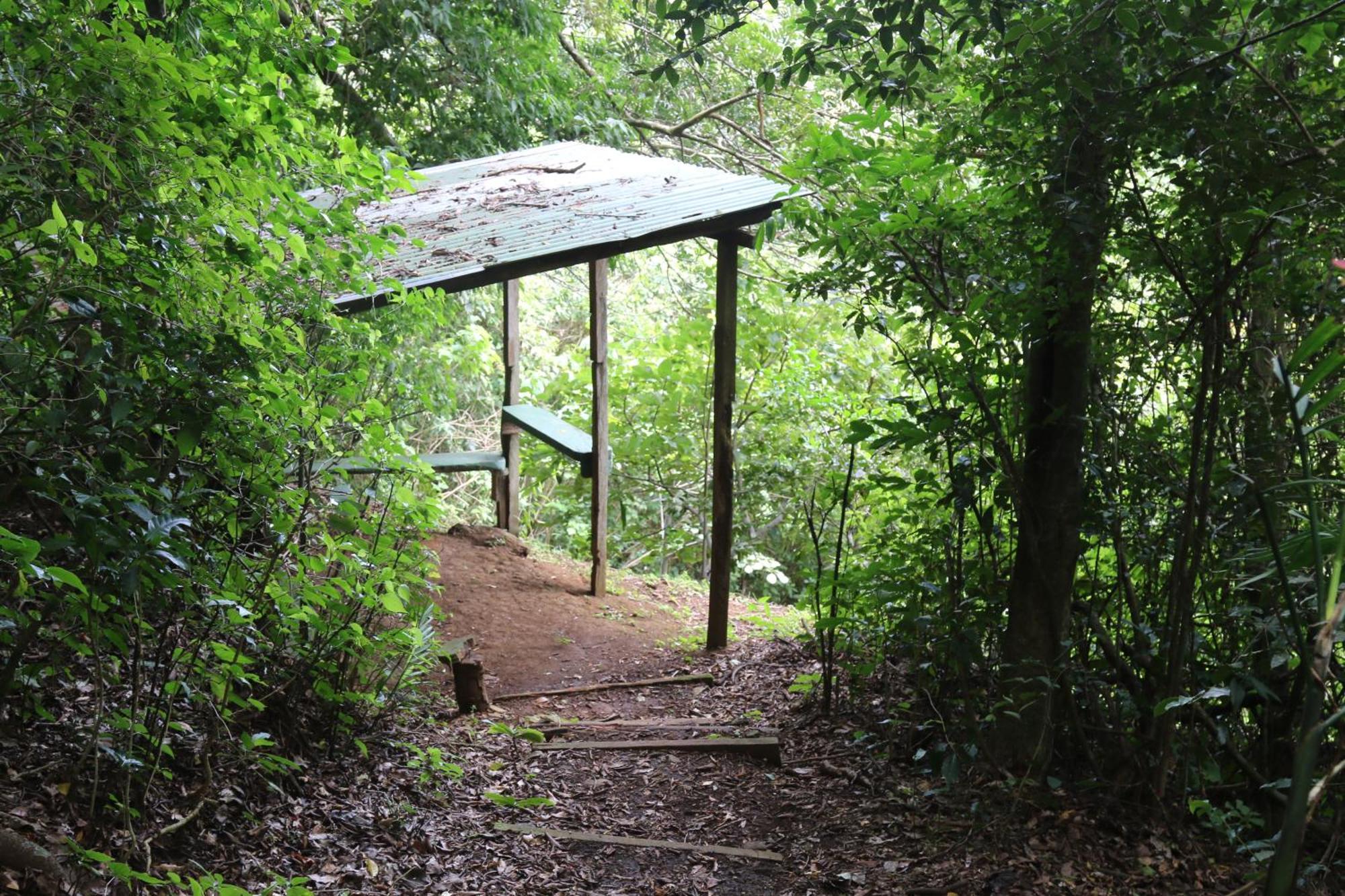 Santuario Ecologico Monteverde Exterior foto