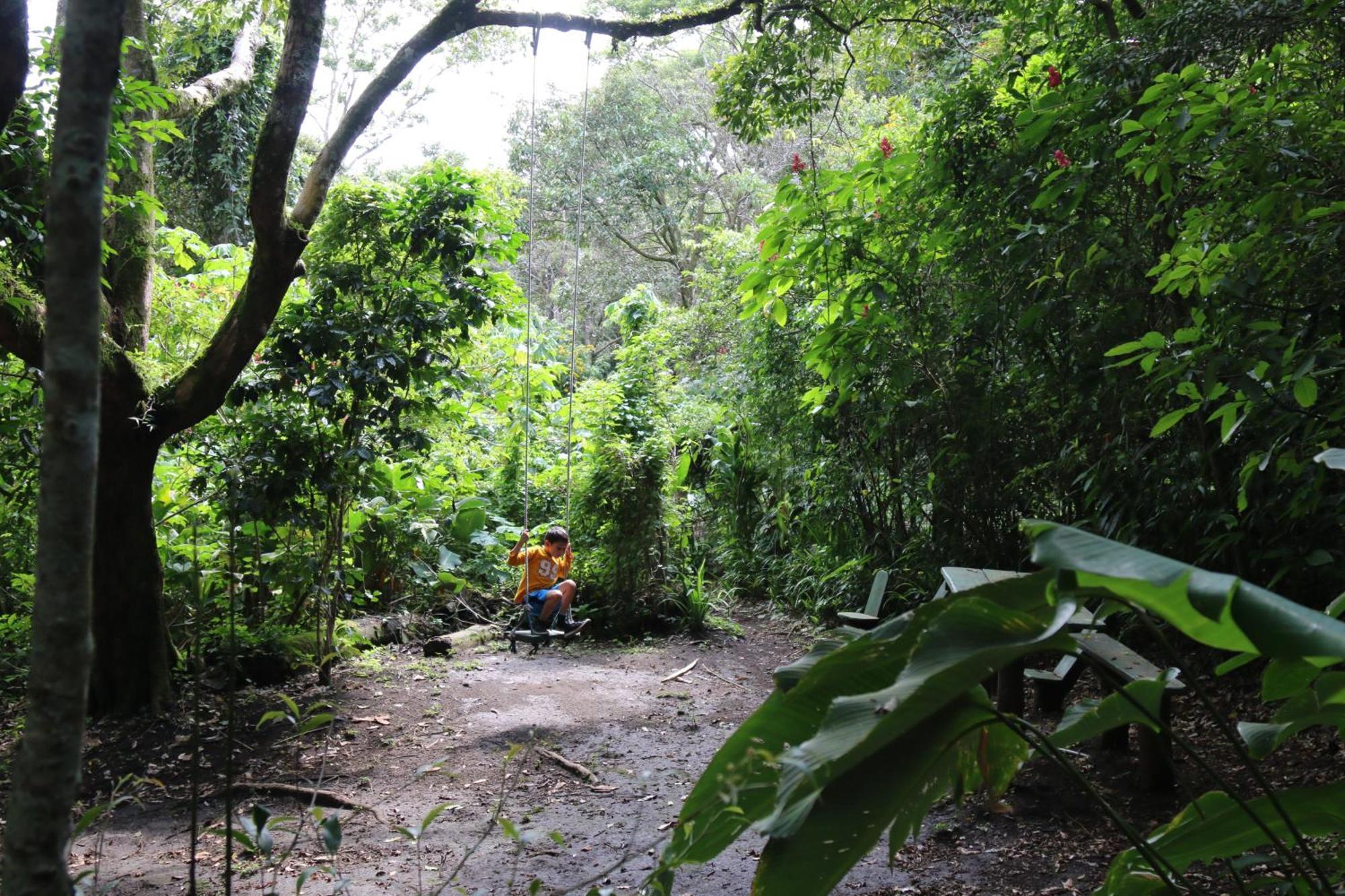Santuario Ecologico Monteverde Exterior foto